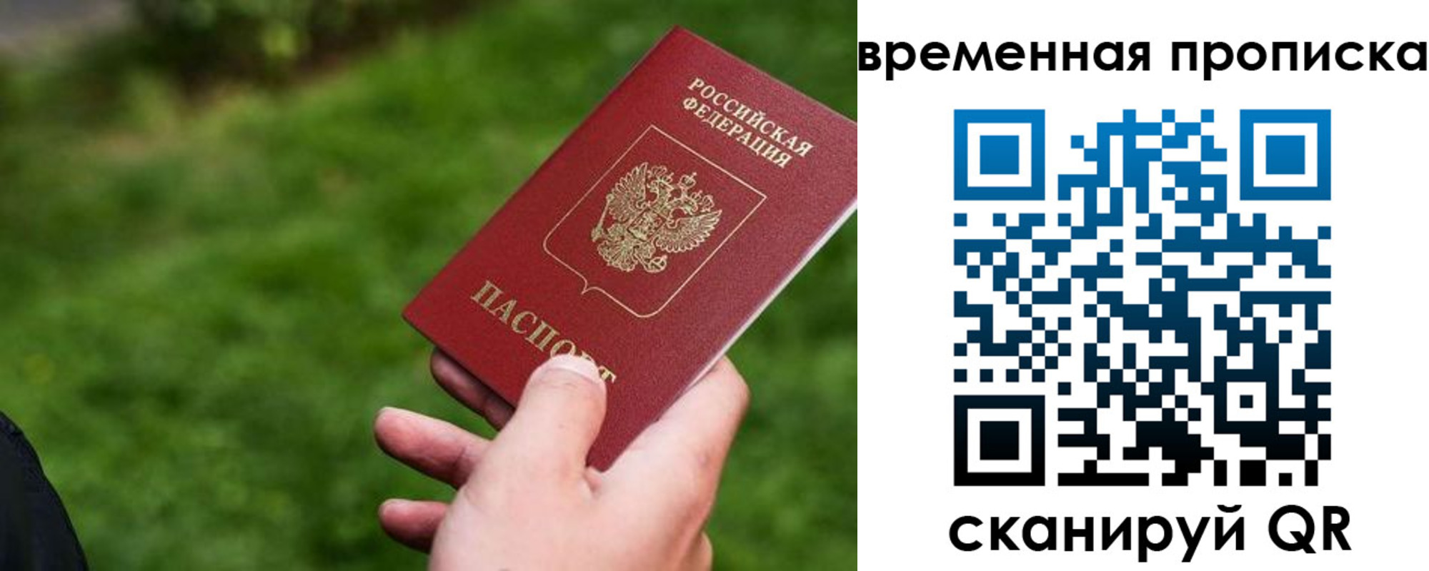 прописка 2025 в Ртищево